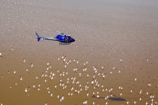Heli 4 Heli 4