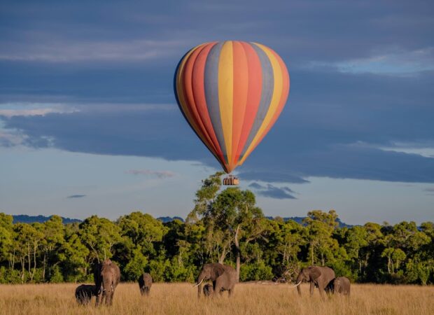 Balloon Safaris_19 Balloon Safaris_19