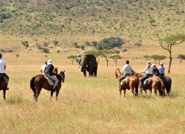 Horseback Safaris Horseback Safaris